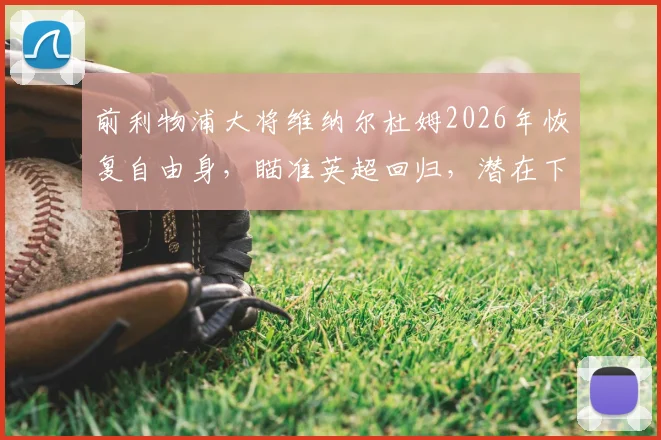 前利物浦大将维纳尔杜姆2026年恢复自由身，瞄准英超回归，潜在下家分析与未来展望